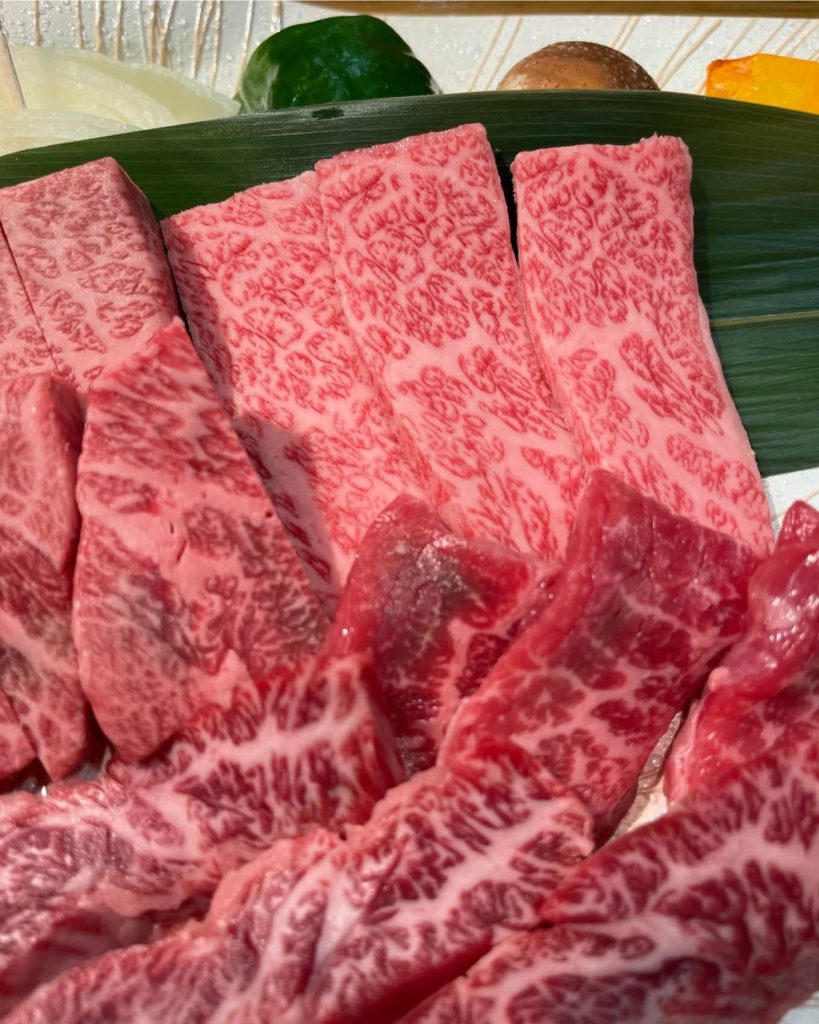 Wagyu A5 región de Hidda