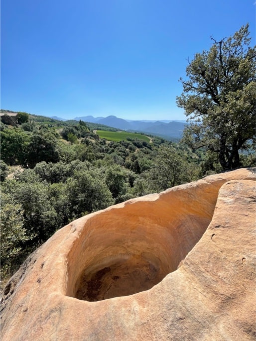 Visita Celler Castell d'Encus