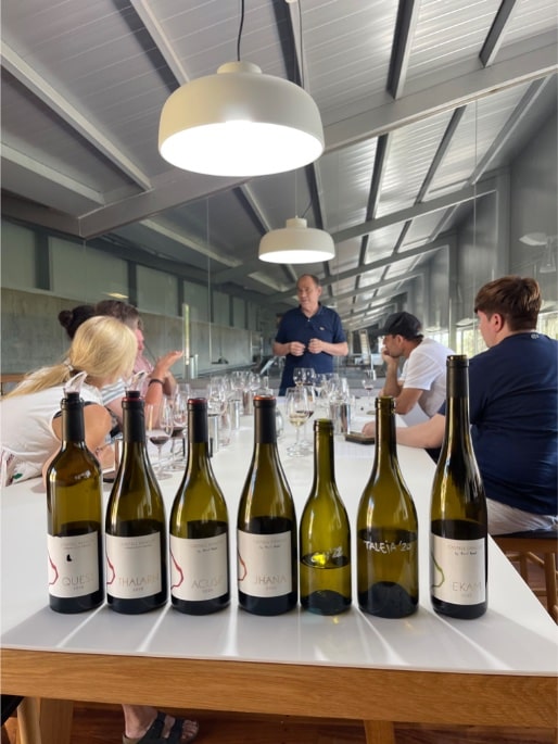 Cata Vinos Bodega Castell d'Encis